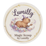 Translation missing: fr.Magic-scoopbylumilly accessibility.home